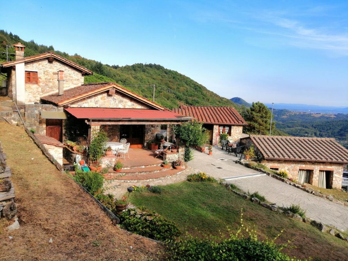 Villa Armonia Borgo a Mozzano Eksteriør billede
